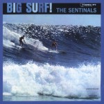 Big Surf (US Release)詳情