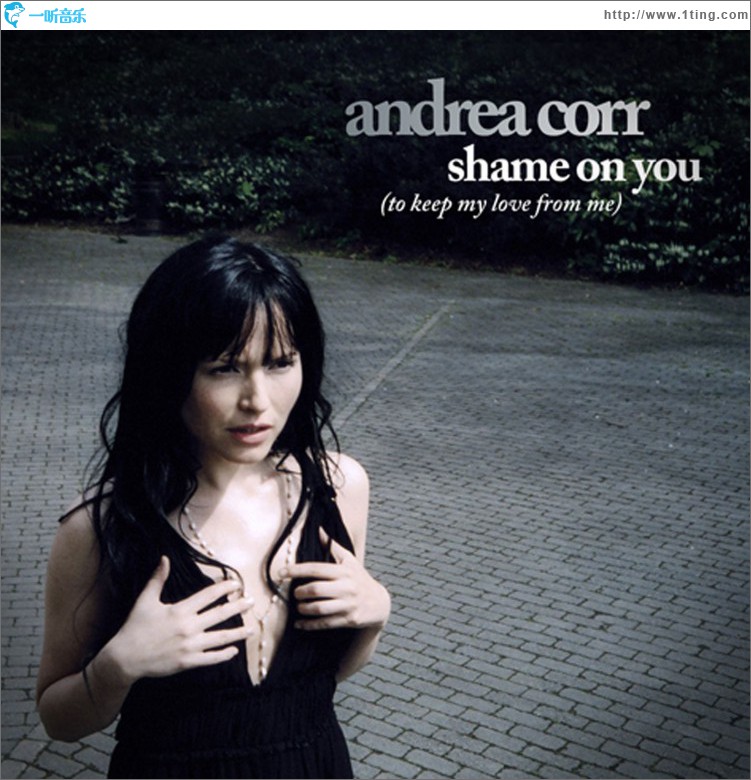 Shame On You [to keep my love from me] (Single Track DMD)