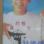 真的想你