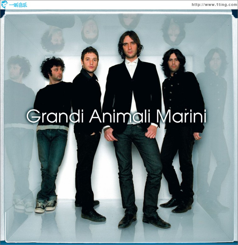 Grandi Animali Marini
