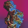 New Order Fine Line [12
