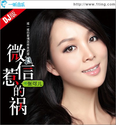 微信惹的禍(DJ版)
