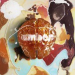 Amber詳情