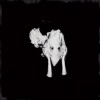 Sigur Rós Kveikur 試聽