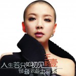 人生若只如初見(單曲)詳情