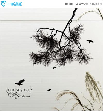 Fly