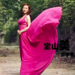 寶山美(單曲)詳情