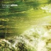 Tonight Alive The Ocean 試聽