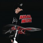 The Remixes, Vol. 1詳情