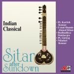 Sitar After Sundown詳情