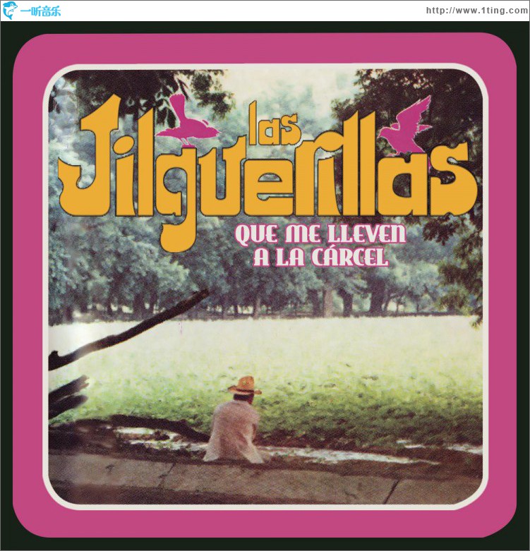 Que Me Lleven a la Cárcel