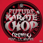 Karate Chop (Remix)詳情