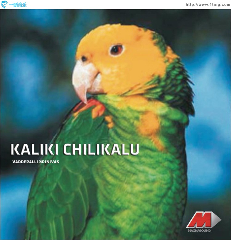 Kaliki Chilukalu