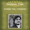 Guadalupe Trigo Mi Ciudad 試聽