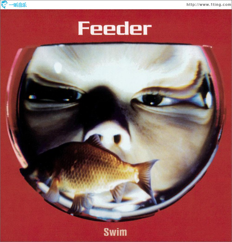 Swim
