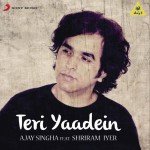 Teri Yaadein詳情