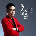 傷太深愛太難(單曲)詳情