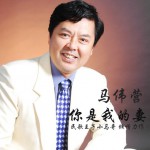 你是我的妻(單曲)詳情