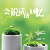 鄭曉飛 手心約定 試聽
