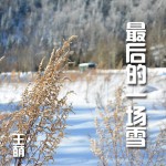 最后的一場雪詳情