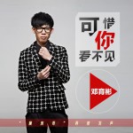 可惜你看不見(單曲)詳情