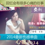 心痛2014(單曲)詳情