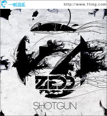 Shotgun(single)