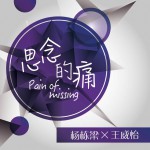 思念的痛(EP)詳情
