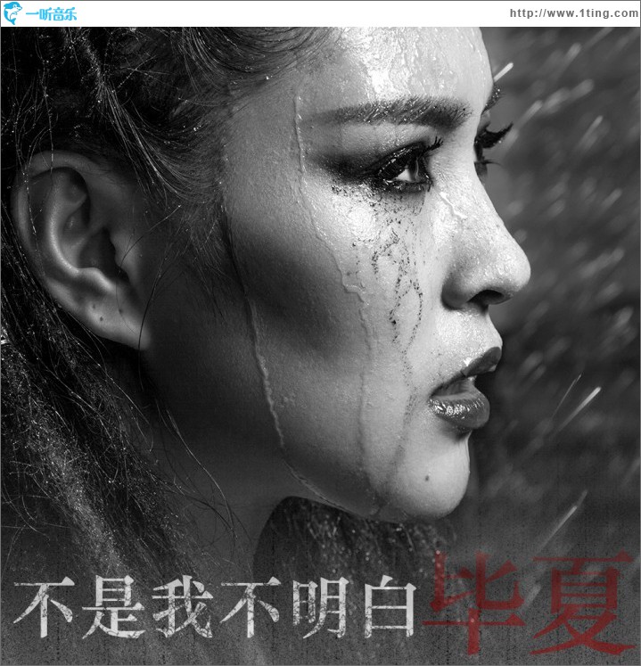 不是我不明白(單曲)