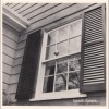 Beach Fossils Adversity 試聽