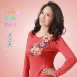 愛情在南我在北(單曲)詳情
