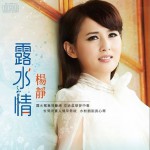 露水情詳情