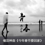 今年春節要回家 (單曲)詳情