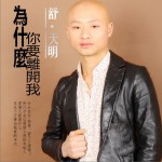 為什么你要離開我 (單曲)詳情