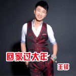 回家過大年 (單曲)詳情