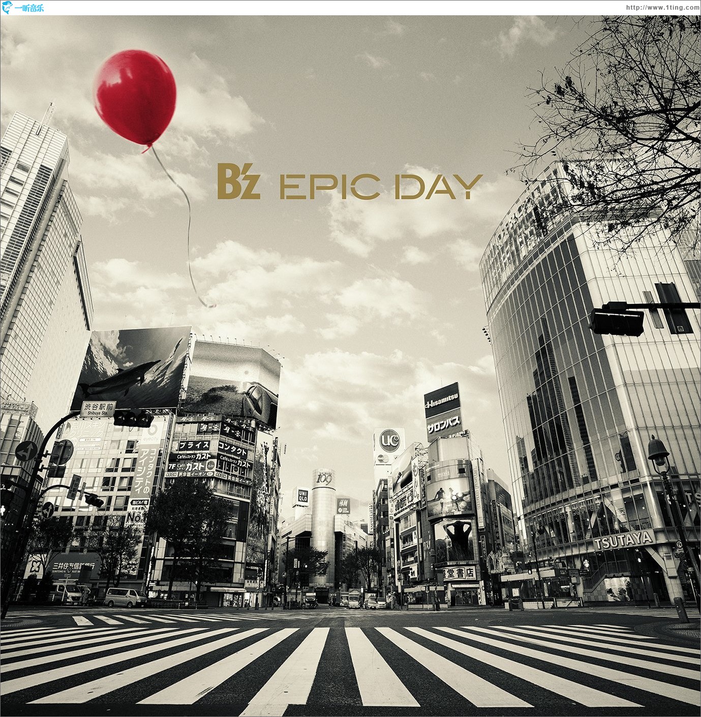 EPIC DAY