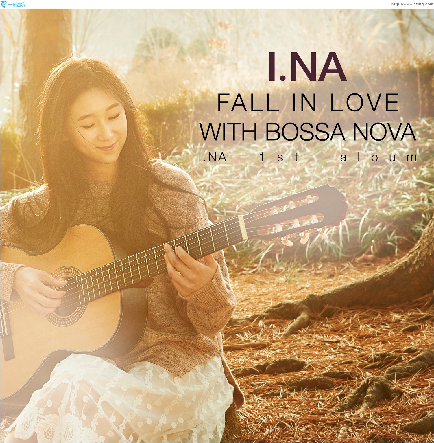 Fall In Love With Bossa Nova