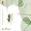 和雅清音 南無大悲觀世音菩薩圣贊 試聽