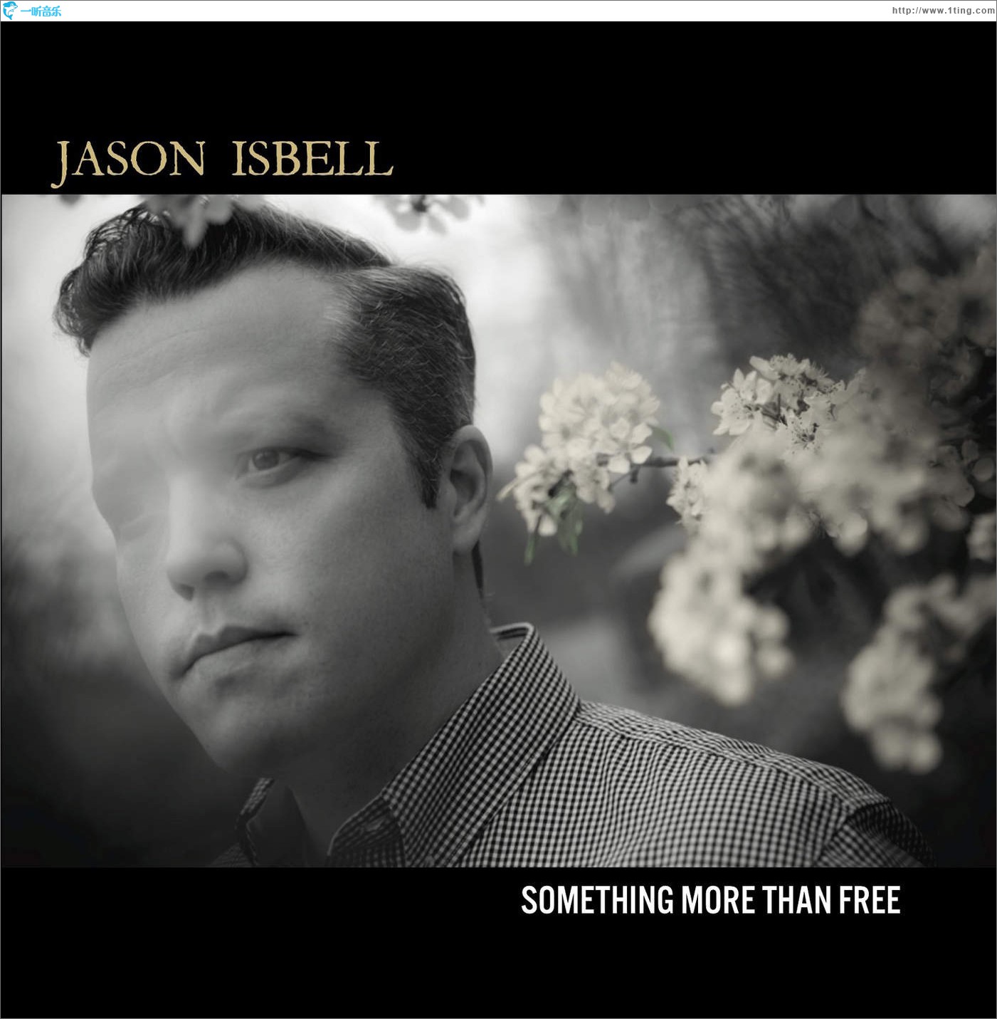 Something More Than Free