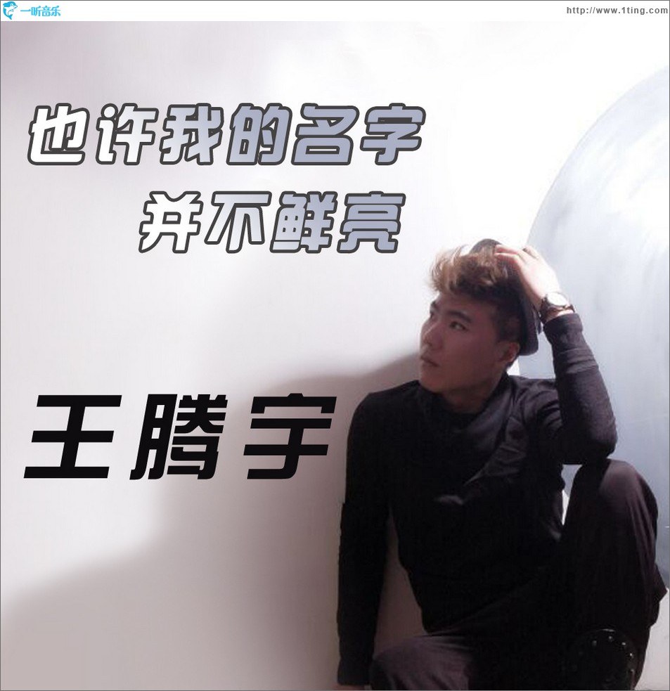 也許我的名字并不鮮亮 (單曲)