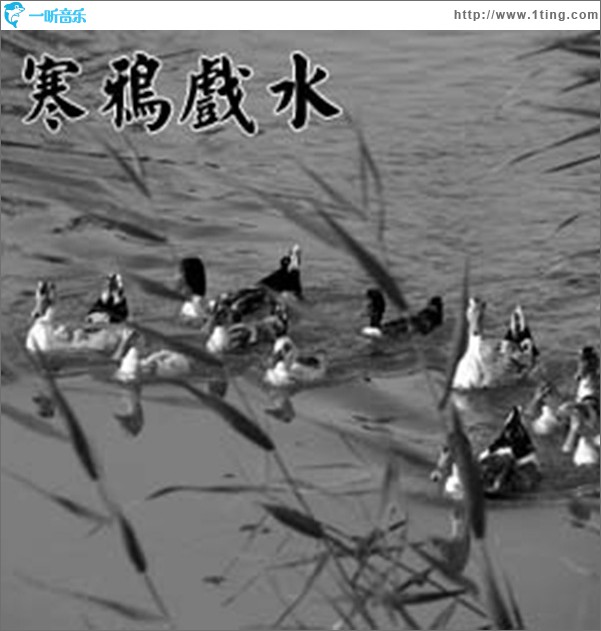 寒鴉戲水