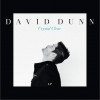 David Dunn Today Is Beautiful 試聽