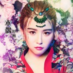 木偶詳情