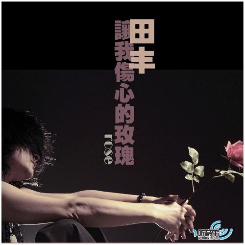 讓我傷心的玫瑰