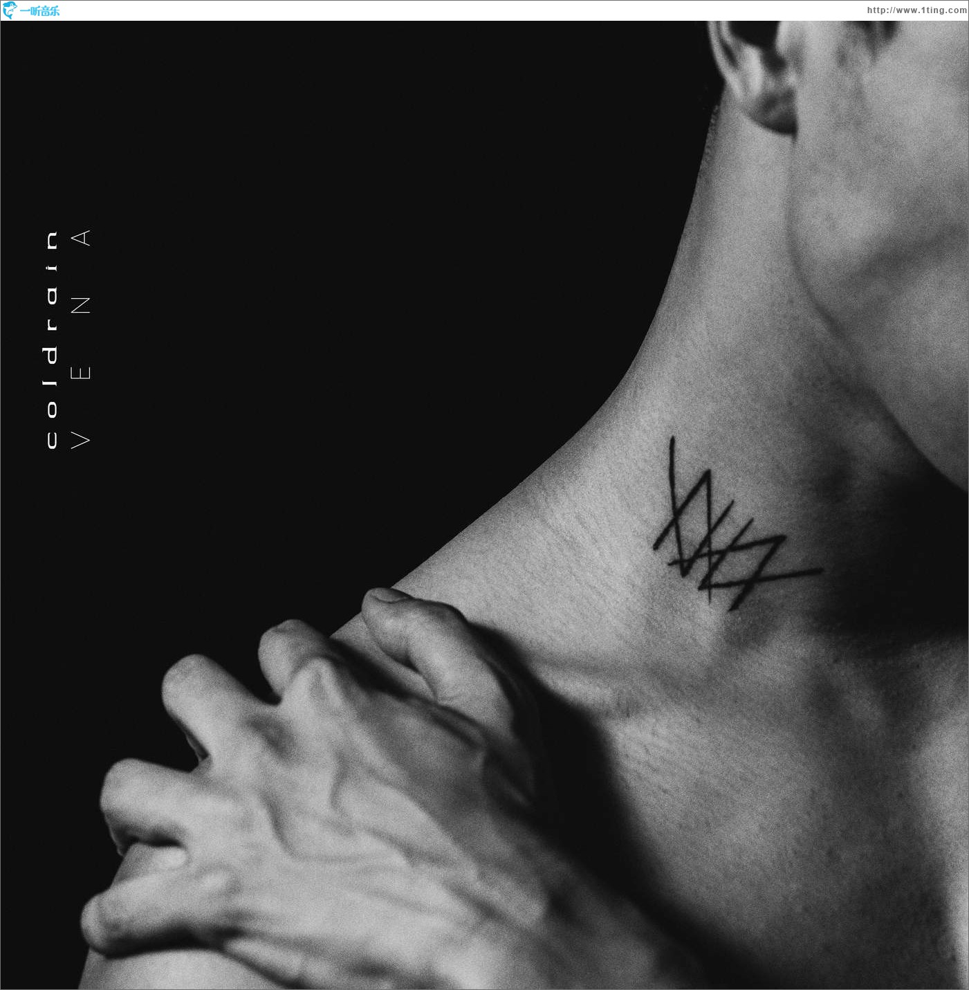 Vena