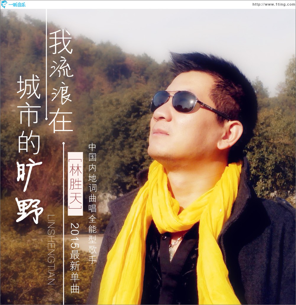 我流浪在城市的曠野