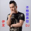 伊龍 02.不想放棄你dj（伴奏） 試聽