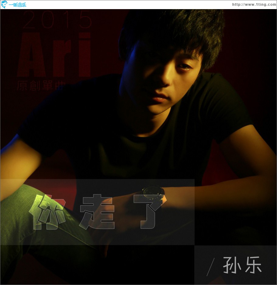 你走了 (單曲)