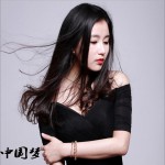 中國夢 (單曲)詳情