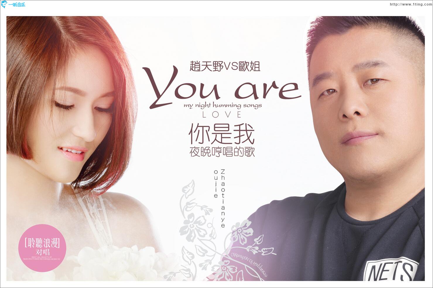 你是我夜晚哼唱的歌 (單曲)